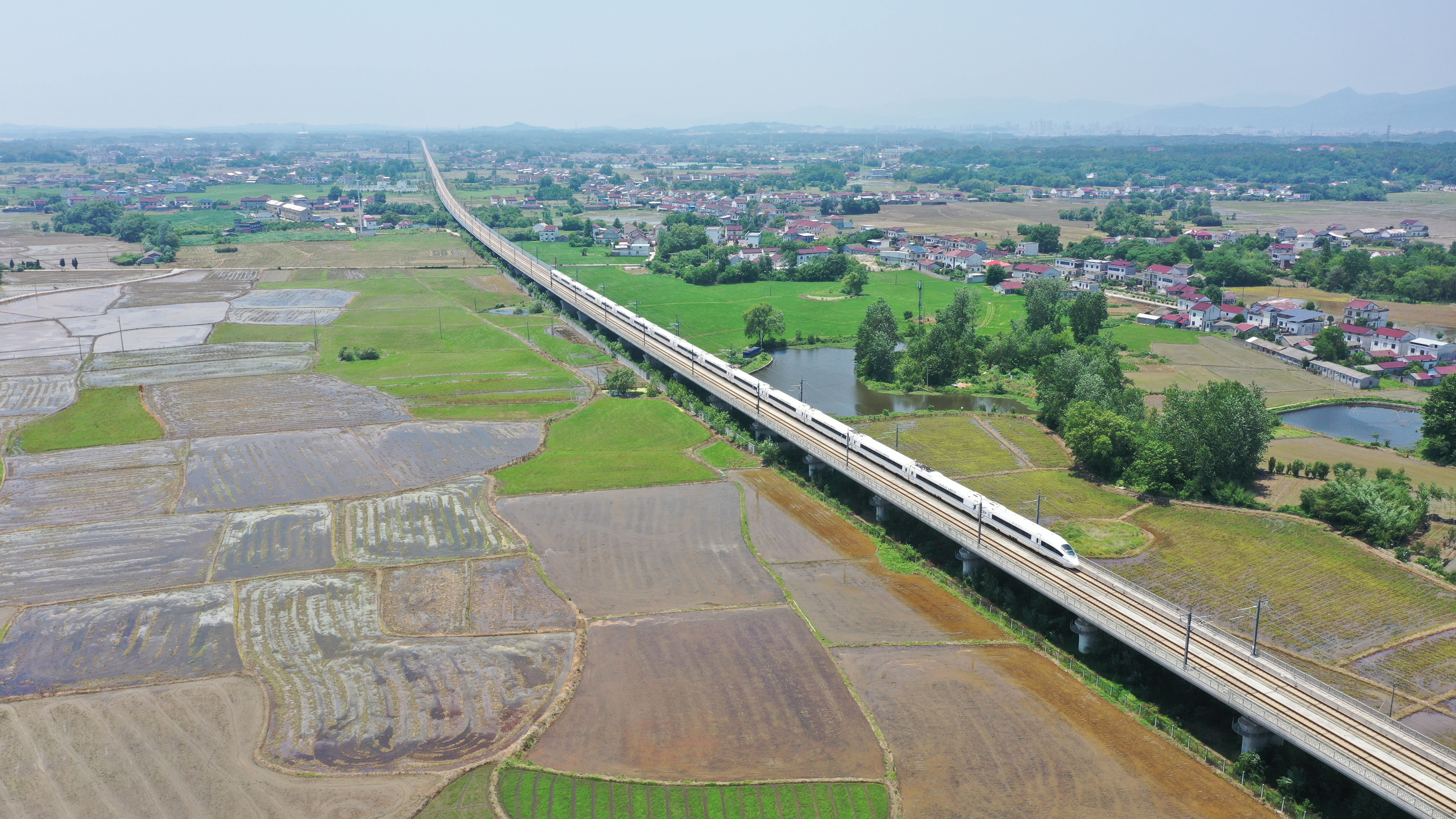 青疇疊翠田園新